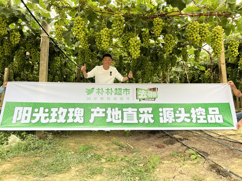 零售周报（7.28-8.3）